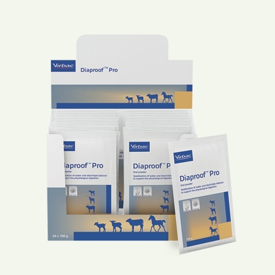 Diaproof Pro 1x100g - Ergänzungsfuttermittel