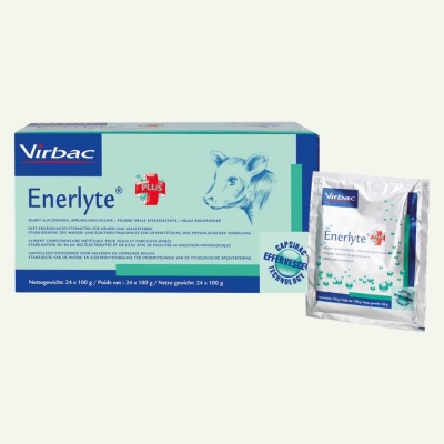 Enerlyte Plus 24x100g