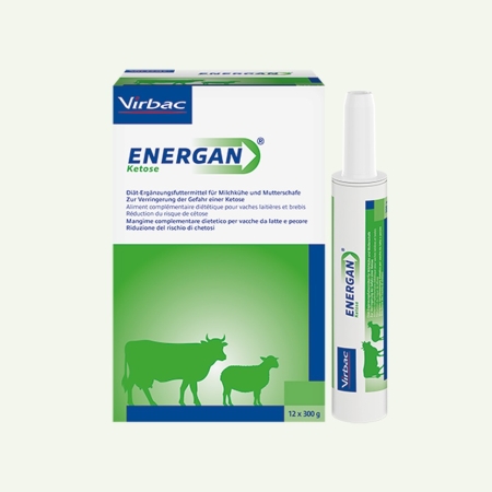 Virbac Energan Ketose 12x300g