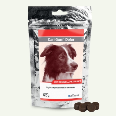 alfavet CaniGum Dolor 120g 30x4g für Hunde