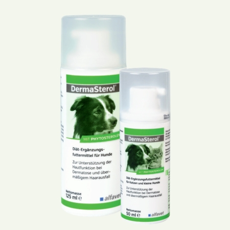 alfavet DermaSterol 125ml für Hunde