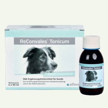 alfavet ReConvales Tonicum Hund 6x90ml (540ml)