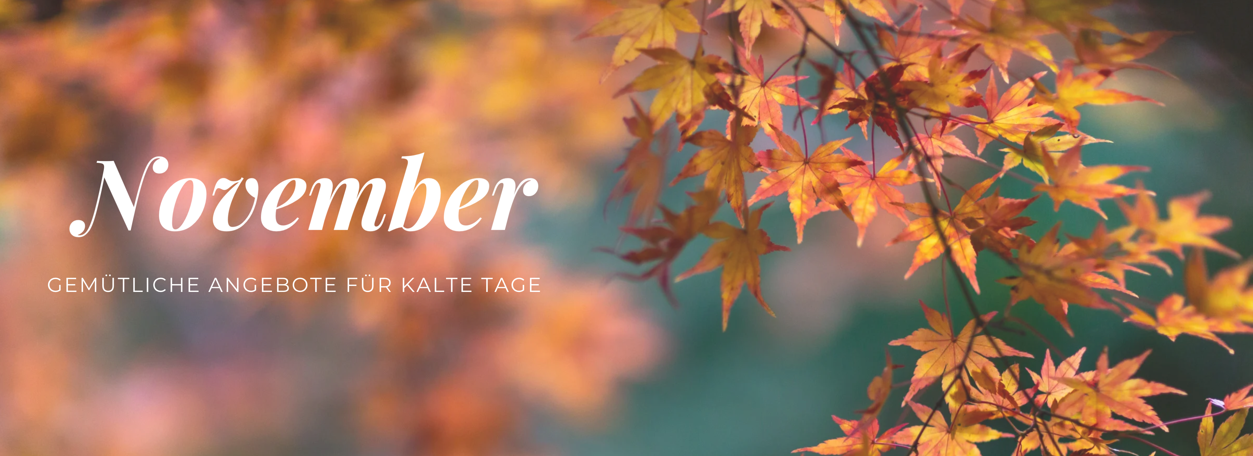 November Angebot 