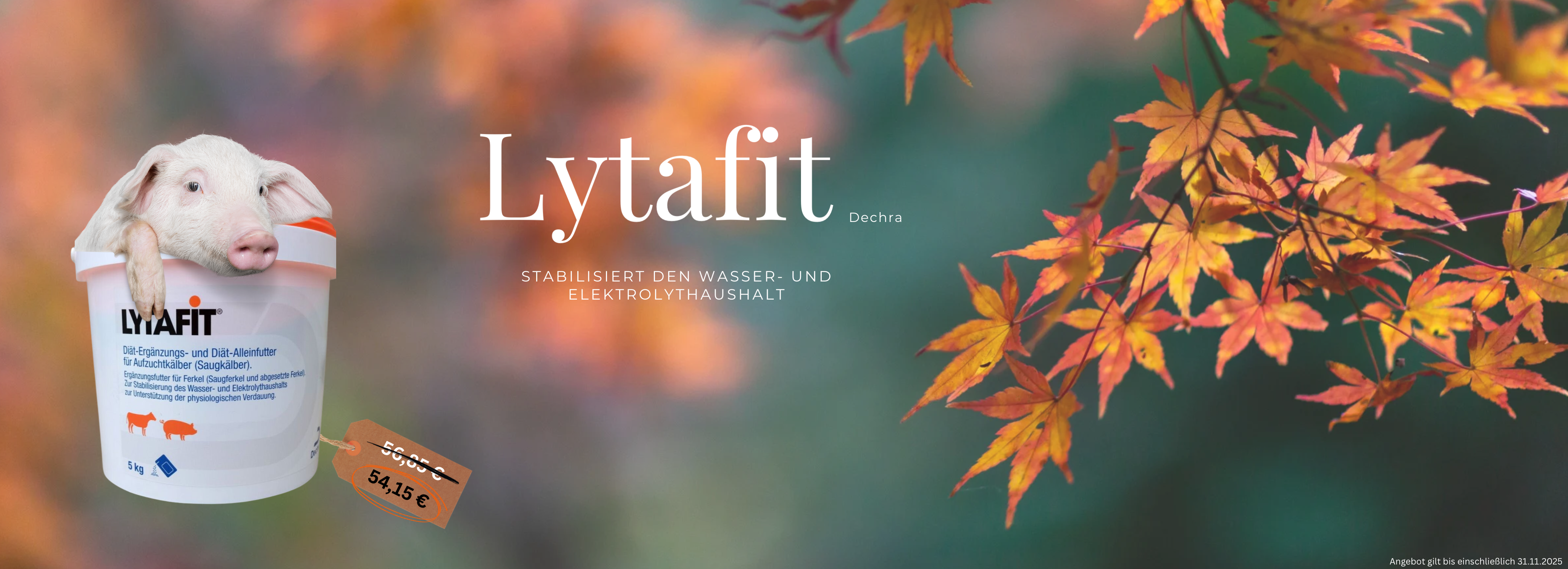 November Lytafit