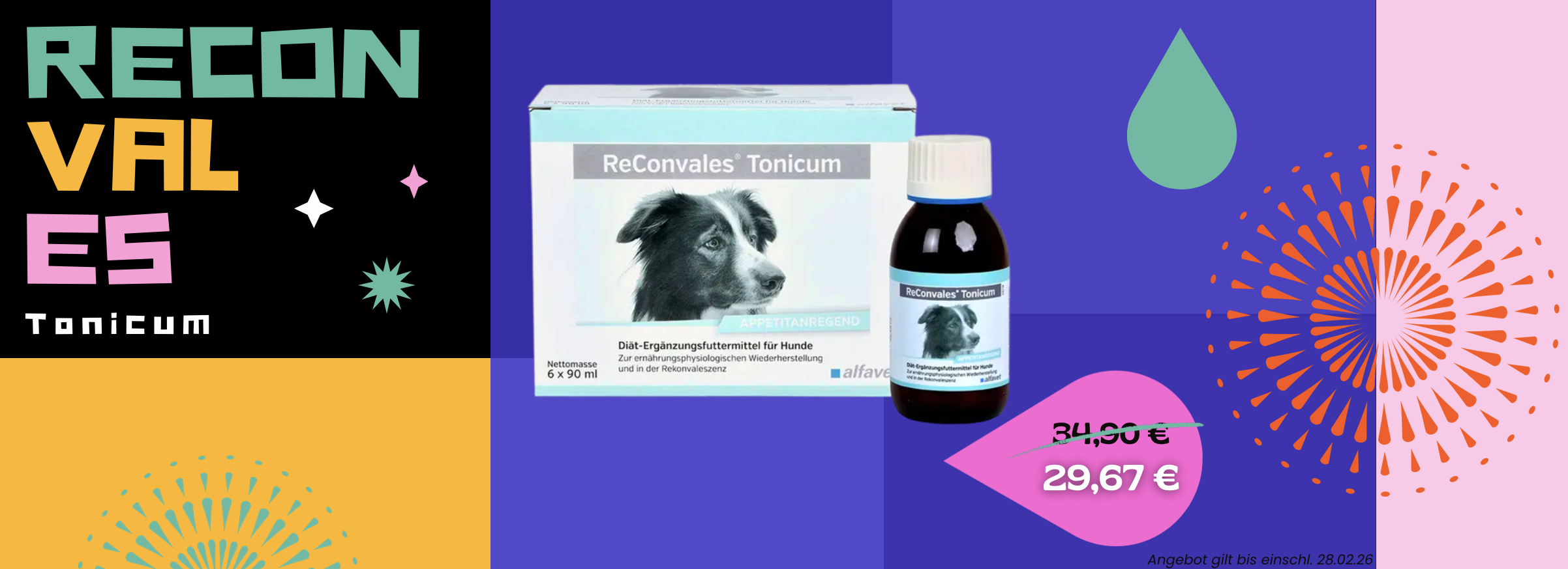 ReConvales Tonicum Hund Jan Febr 2026