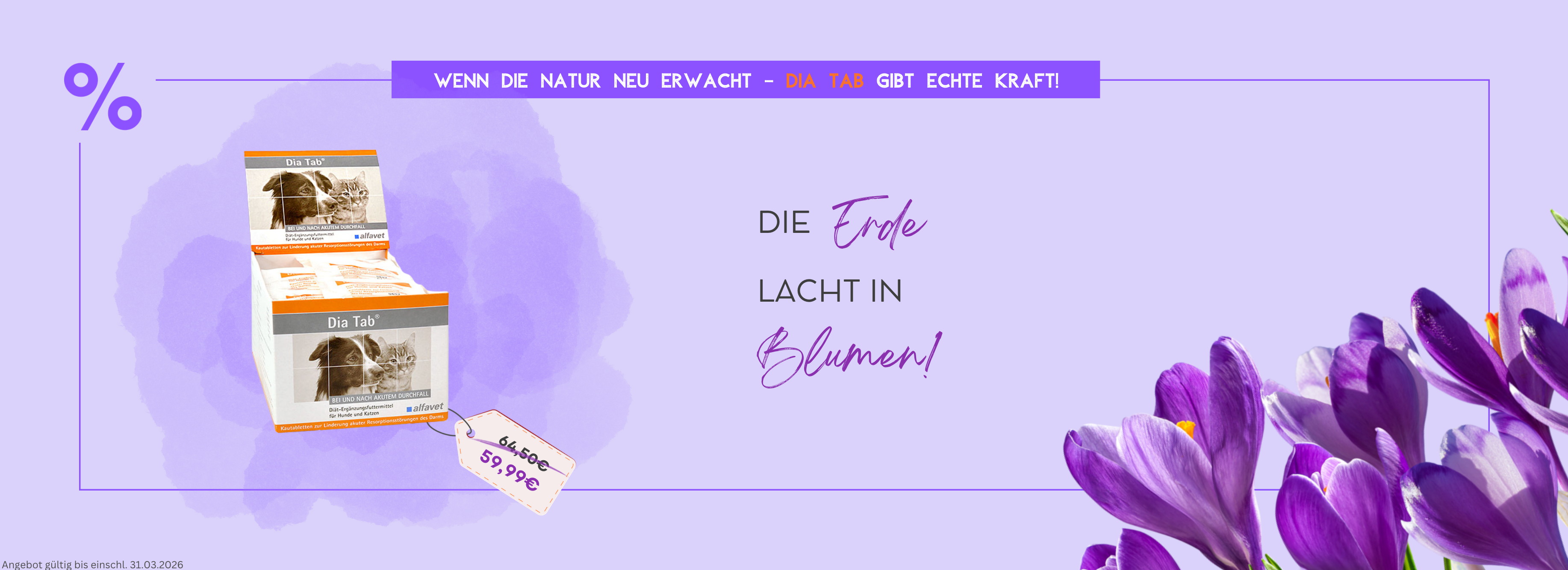 Frühling 2026 Dia Tab