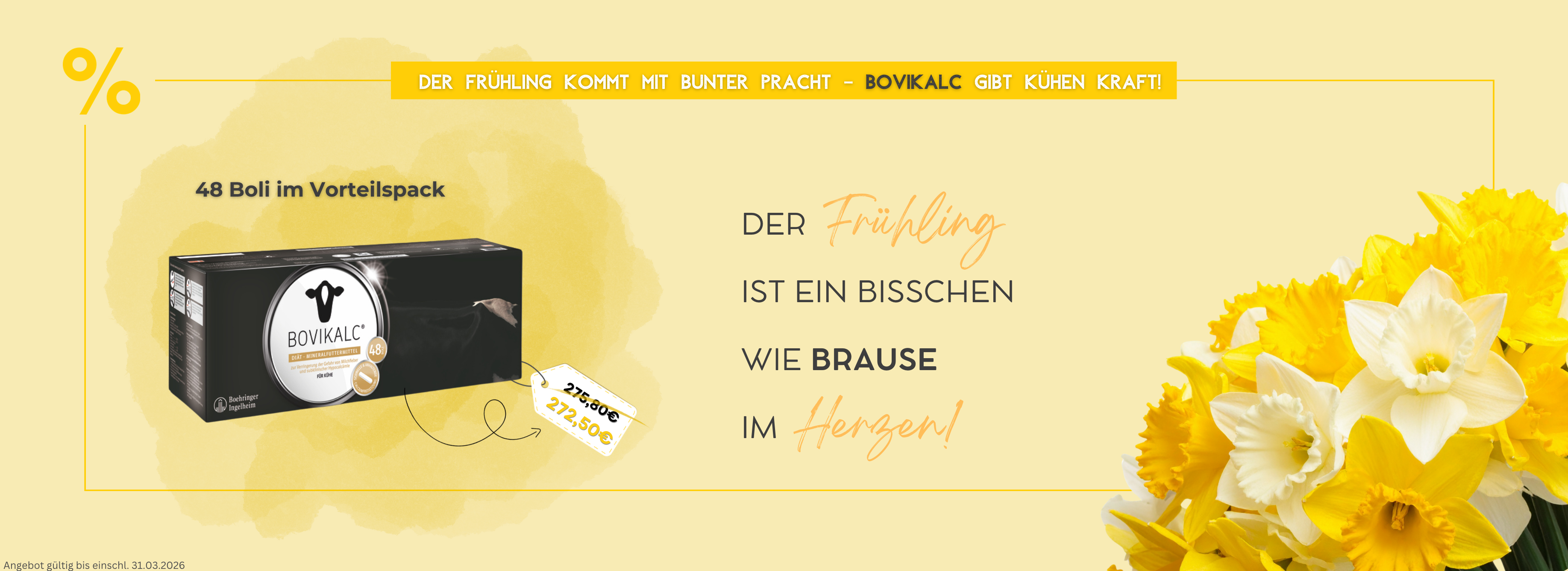 Bovikalc Frühling 2026