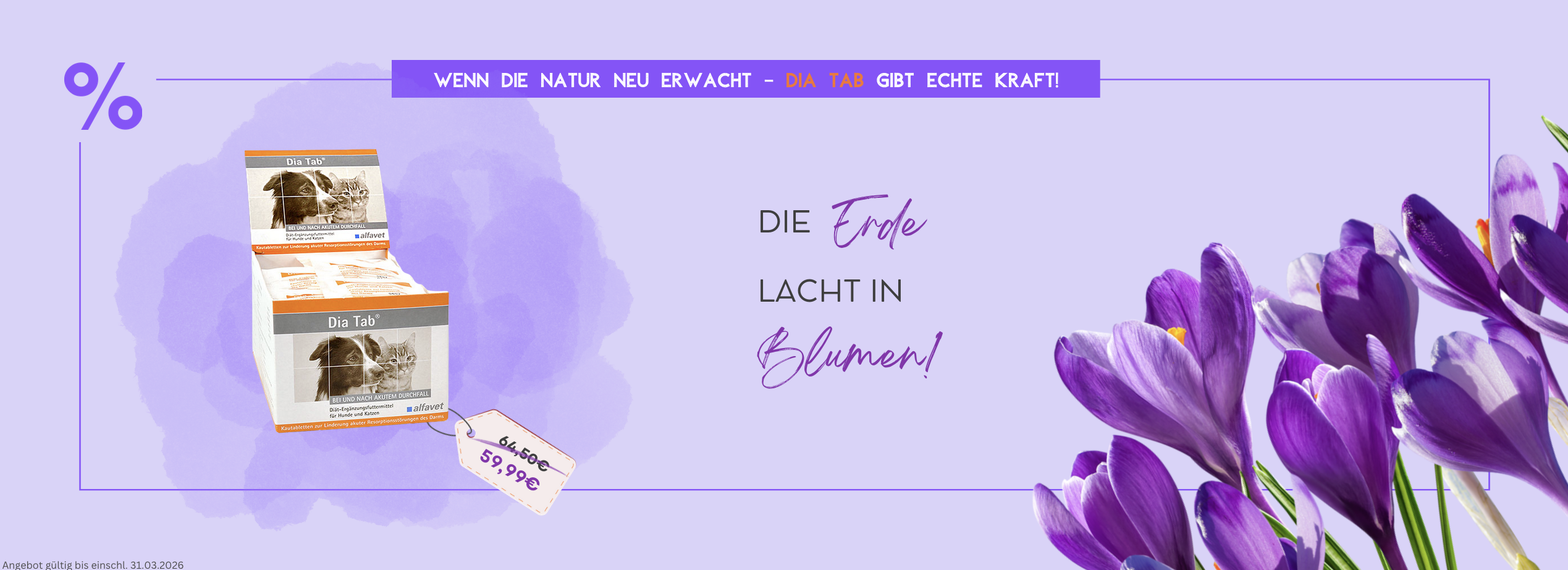 Frühling 2026 Dia Tab